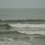 dsc_0005-3