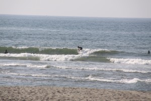img_1800