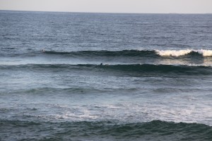 img_2039