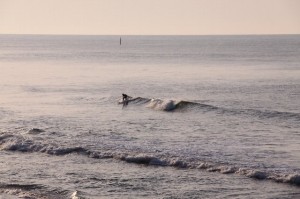 img_2219
