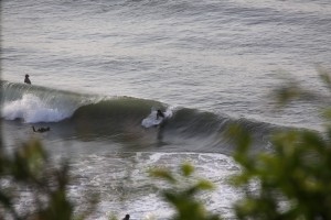 img_22291