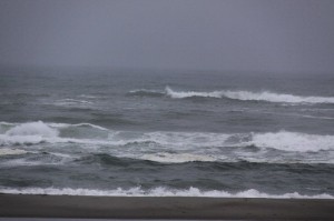 img_2612