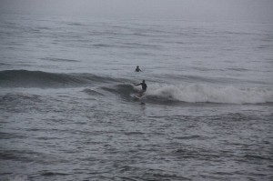 img_4446