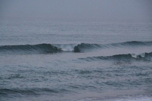 img_4498