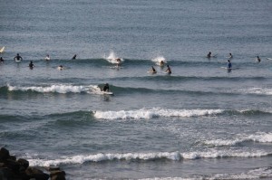 img_5225