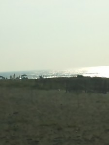 2010-09-12-07-46-51