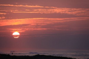 img_7753