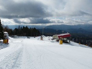 20131203