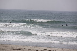 IMG_9471