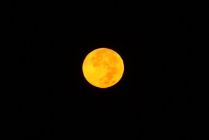 IMG_0179