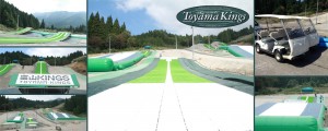 toyamakingstop